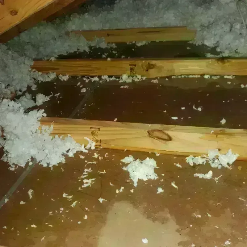 Attic Water Damage in Tilton, NH